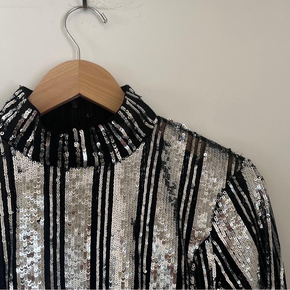 Derek Lam 10 Crosby | Sheer silver sequin top | Size 8